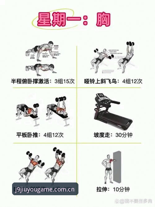J9九游会体育最新版与旧版全面对比：哪个更适合新手快速上手？